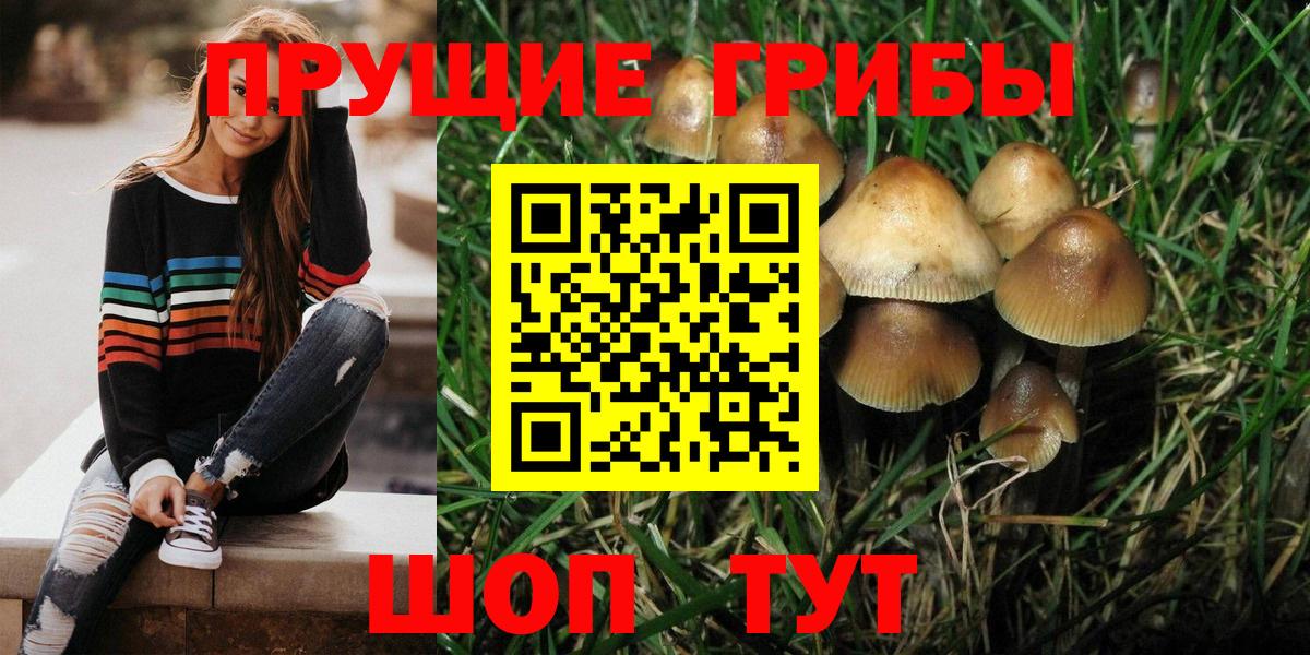 Псилоцибиновые грибы Magic Shrooms Великий Новгород